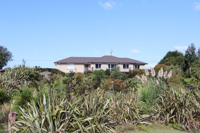 /international/nz/ngaruawahia-waikato-380066118110/