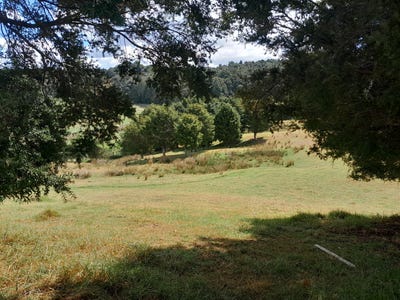 /international/nz/596-waimate-north-road-kerikeri-far-north-380066101982/