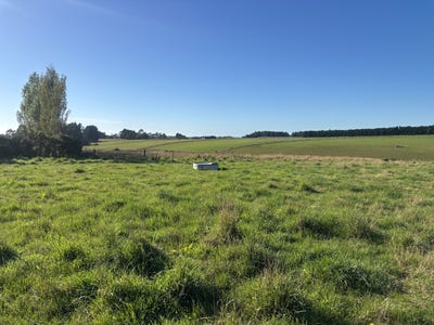 /international/nz/hadlow-timaru-380066113722/