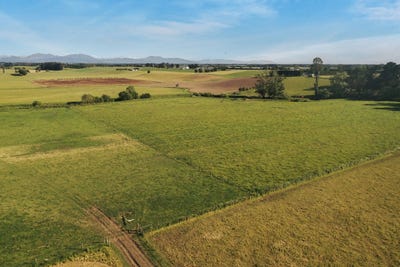 /international/nz/hadlow-timaru-380066076432/
