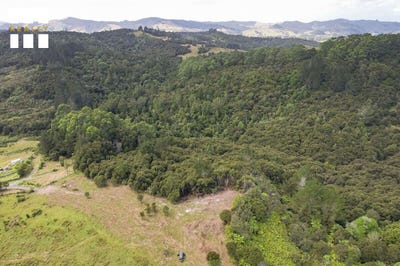/international/nz/609b-peria-road-peria-far-north-380066075384/