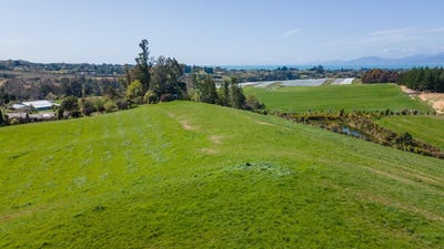 /international/nz/171-dominion-road-mahana-tasman-380066093514/