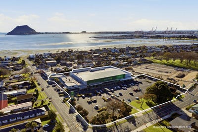 /international/nz/otumoetai-tauranga-380066166987/