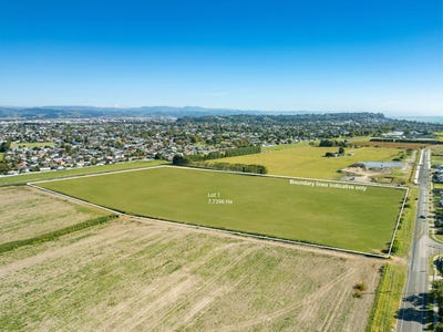 /international/nz/meeanee-napier-city-380066078953/