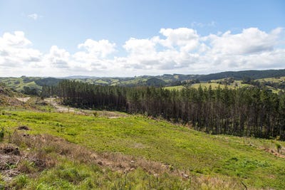/international/nz/197-wishart-road-helensville-rodney-380066093505/