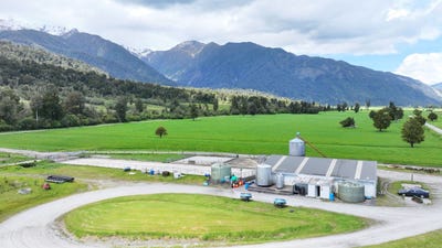 /international/nz/1627-whataroa-highway-whataroa-westland-380066080562/