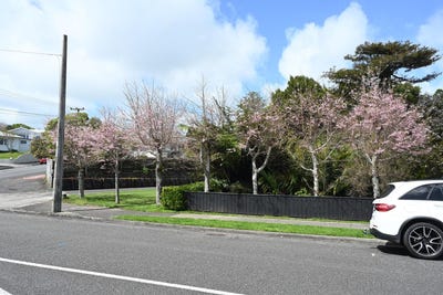 /international/nz/72-gilbert-street-new-plymouth-central-new-plymouth-380066100217/