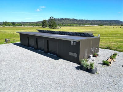 /international/nz/kokatahi-westland-380066078259/