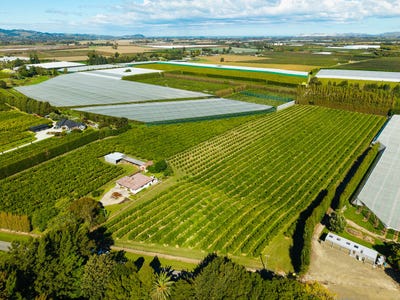 /international/nz/75-brown-road-ormond-gisborne-380066080600/
