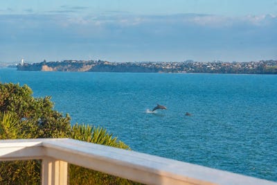 /international/nz/819-whangaparaoa-road-manly-rodney-380066112505/