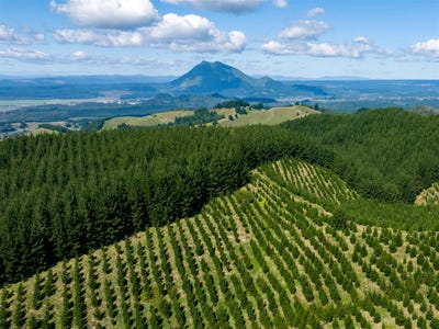 /international/nz/617-mcivor-road-rotoma-whakatane-380066079263/