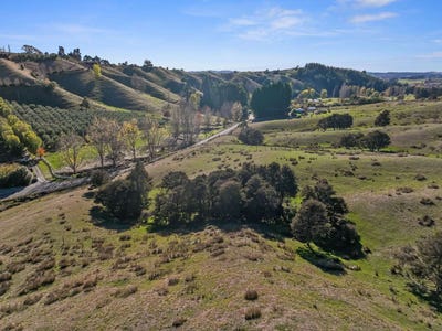 /international/nz/upper-moutere-tasman-380066116972/