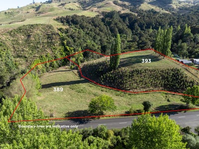 /international/nz/351-389-french-pass-road-cambridge-waipa-380066078160/