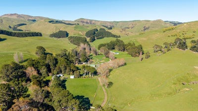 /international/nz/467-waitahora-valley-road-dannevirke-tararua-380066077454/