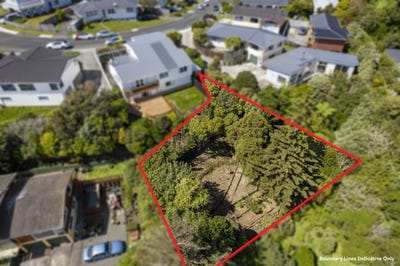 /international/nz/johnsonville-wellington-city-380066088745/