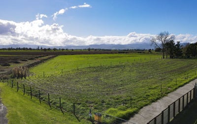/international/nz/kerepehi-hauraki-380066111796/