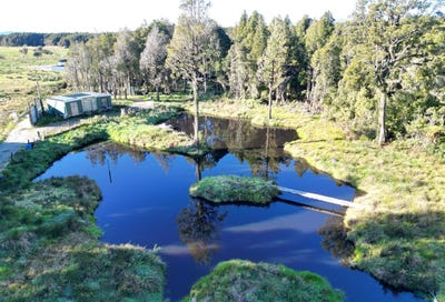 /international/nz/hokitika-westland-380066181096/