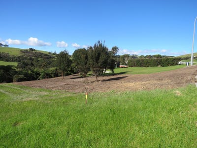 /international/nz/9-lori-lane-coopers-beach-far-north-380066107625/