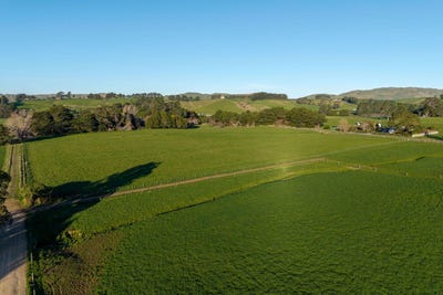 /international/nz/eketahuna-tararua-380066168988/