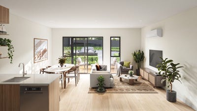 /international/nz/orewa-rodney-380066105581/