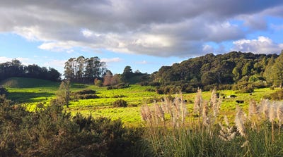 /international/nz/109-hunua-road-drury-papakura-380066121017/