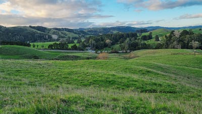 /international/nz/241-golden-stairs-rd-maungaturoto-kaipara-380066110540/