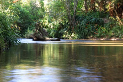 /international/nz/1099-paradise-valley-road-ngongotaha-rotorua-380066092010/