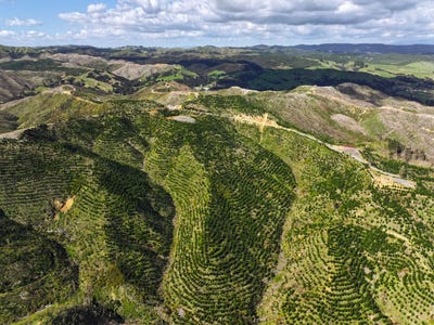 /international/nz/ngaruawahia-waikato-380066085263/