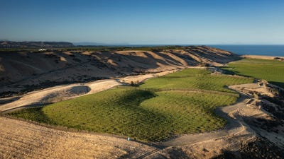 /international/nz/seddon-marlborough-380066082789/