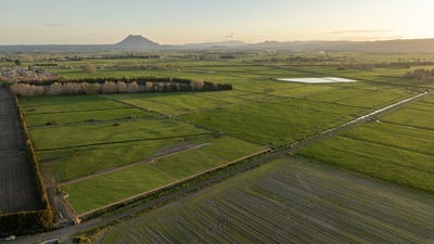 /international/nz/edgecumbe-whakatane-380066079436/