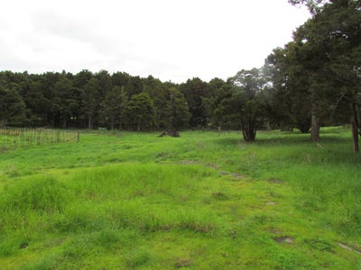 /international/nz/carruth-road-poroti-whangarei-380066080273/