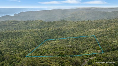 /international/nz/254-piha-road-piha-waitakere-city-380066121206/
