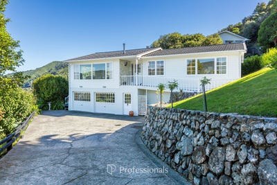 /international/nz/7-alleyne-court-brown-owl-upper-hutt-city-380066108814/