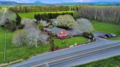 /international/nz/237-thornton-road-thornton-whakatane-380066091255/