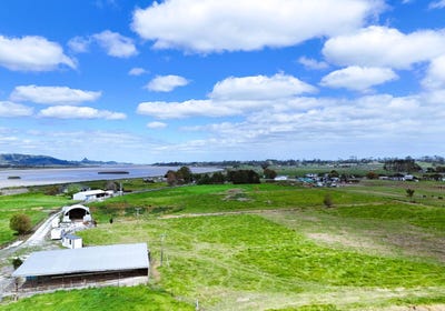 /international/nz/65-heawa-road-dargaville-kaipara-380066081299/