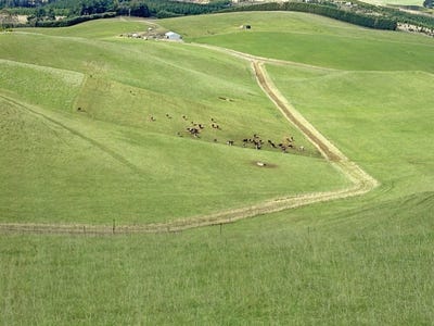 /international/nz/five-forks-and-surrounds-waitaki-380066077928/