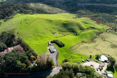 /international/nz/backriver-road-peria-far-north-380066111134/