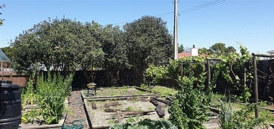 /international/nz/41-owen-road-outer-kaiti-gisborne-380066080265/