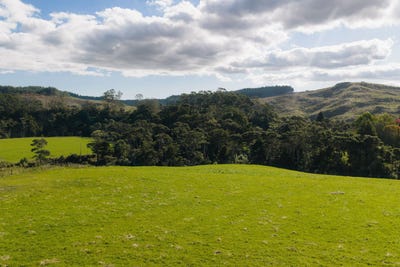 /international/nz/14-valmoore-way-coatesville-rodney-380066175305/