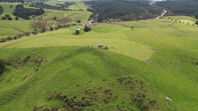 /international/nz/0-state-highway-10-kaeo-far-north-380066086699/