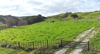 /international/nz/4326-kaipara-coast-highway-tauhoa-rodney-380066078404/