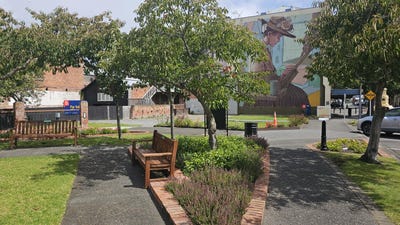 /international/nz/45-ridgway-street-whanganui-central-manawatu-whanganui-380066143866/