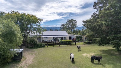 /international/nz/lincoln-road-carterton-wellington-380066093997/