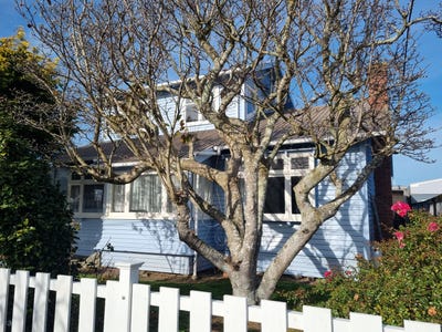 /international/nz/48-hume-street-alicetown-lower-hutt-city-380066120601/