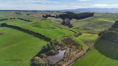 /international/nz/mataura-gore-380066079318/