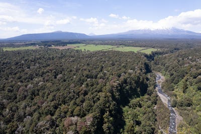 /international/nz/205-mangaturuturu-east-road-national-park-ruapehu-380066082911/