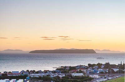 /international/nz/camborne-wellington-380066114345/