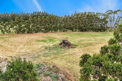 /international/nz/mangawhai-kaipara-380066179713/