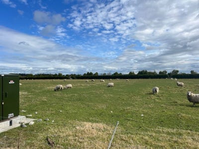 /international/nz/longlands-hastings-380066146164/