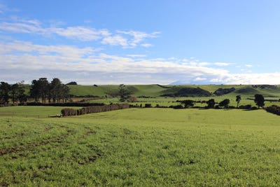/international/nz/169-rawhitiroa-road-eltham-south-taranaki-380066167429/